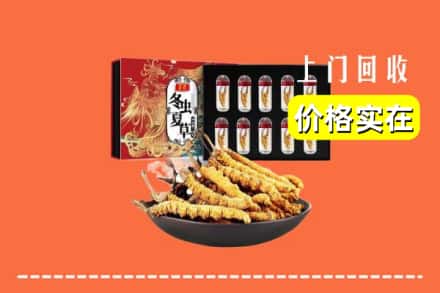 银川灵武市回收冬虫夏草