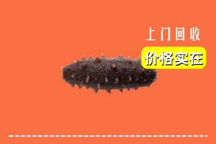 银川灵武市回收海参